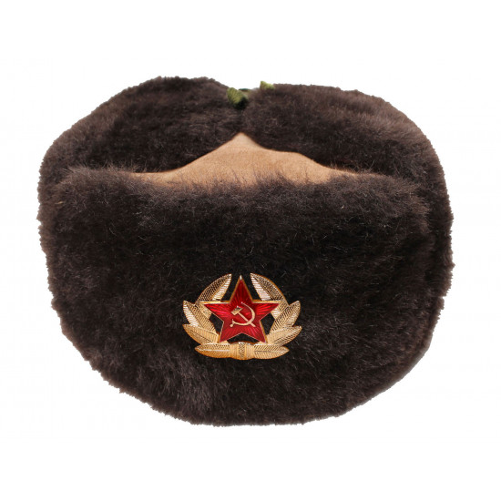 L`hiver chaud marron soviétique ushanka le chapeau avec l`étoile épingle le badge