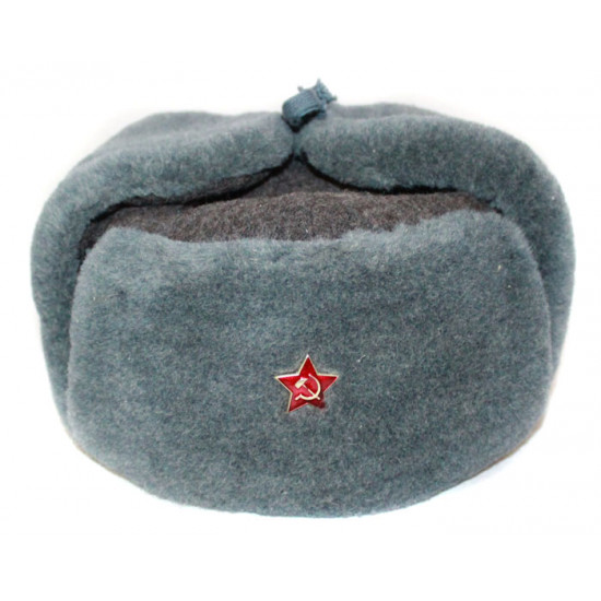 最初のロシア軍共和国軍は、冬の兵士帽子ushanka耳おおいを毛皮でおおいます
