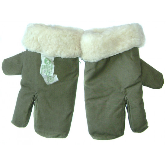 ソビエト/ロシア役員は、冬の毛皮オーバーコート(コートwwii 1944 - 1945)を暖めます